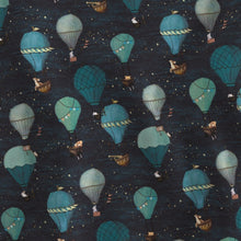 Load image into Gallery viewer, Down Baby Sleep Bag