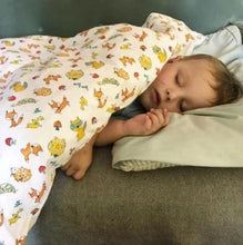 Load image into Gallery viewer, Down Toddler Duvet Blanket